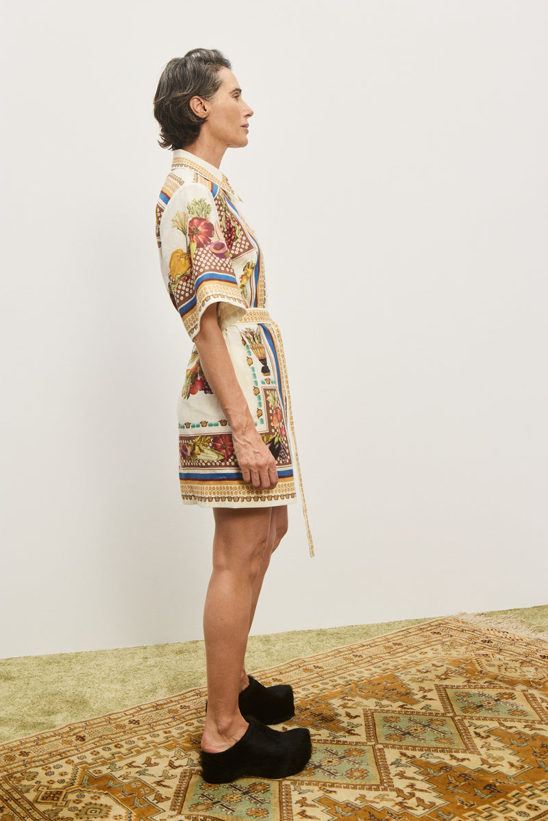 ALEMAIS MERCADO MINI DRESS
