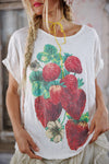 MAGNOLIA PEARL STRAWBERRY BLOOMS T
